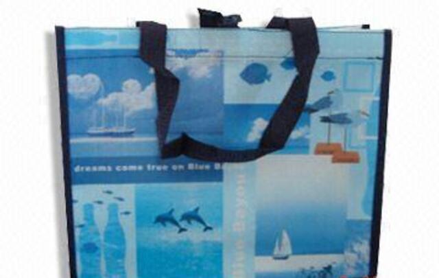 Custom printed PP non-woven bag 62x76x13cm image