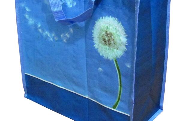 Laminated PP woven bag 40x40x15cm printed with your artwork image