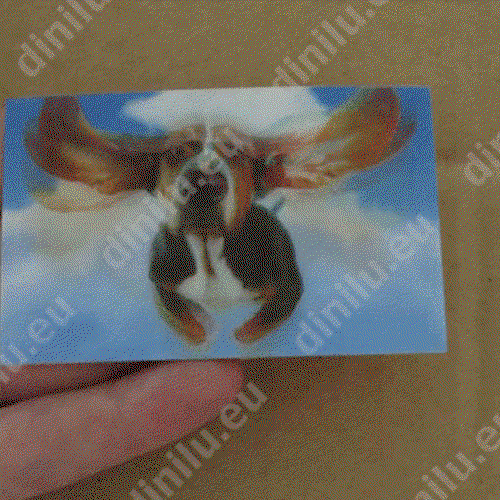 Lenticular with animation 54x86mm (credit card size) Lenticular print, business card size (54x86mm), customised image